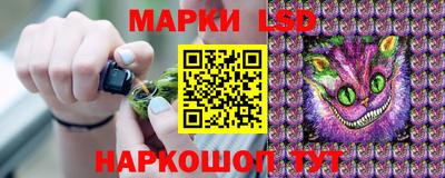 гашик Кунгур