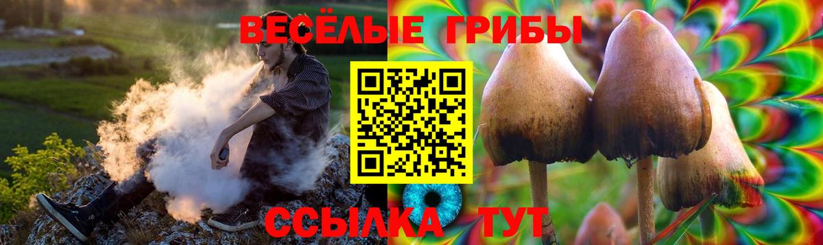 Галлюциногенные грибы MAGIC MUSHROOMS Донской