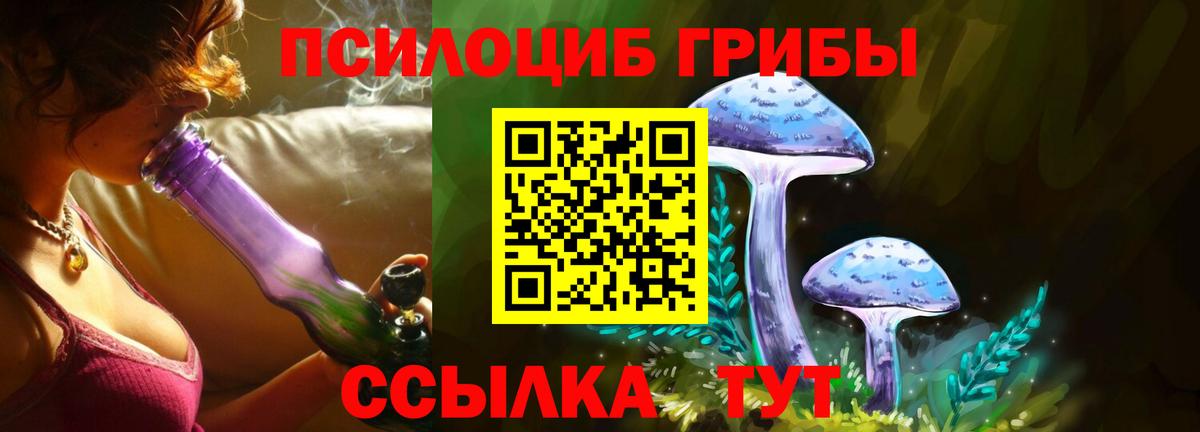 Галлюциногенные грибы Cubensis  Вход с VPN  Донской 
